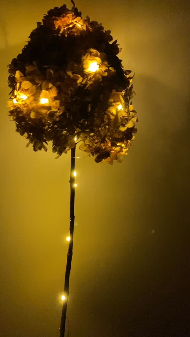 Welkom in Verwonderrijk. Kom maar deze kant op. Wij wijzen jullie de weg ✨
Ps. Wist je dat alle lichtjes met de hand worden gemaakt? Ze bestaan vooral uit bosrijke materialen
