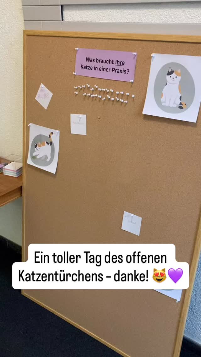 Nur ganz am Anfang hat es für eine kurze Aufnahme gereicht, bevor der Trubel losging: Unser "Tag des offenen Katzentürchens" war ein voller Erfolg! ❄️😻 Wir konnten unsere Praxis vorstellen, mit den Leuten plaudern und auch Inputs sammeln zum Thema "Was braucht *Ihre* Katze in einer Praxis?" Eine besonders herzige Antwort: "öich!" 💜 Danke an alle, die da waren!