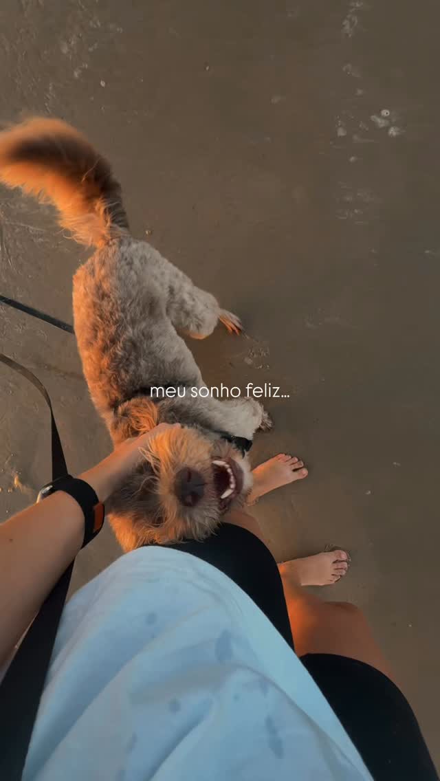 O cachorro da enchente que não tem mais medo de água 🤍 e obrigado @cachorreiros_oficial por permitir que eu não perca ele graças a guia longa 😂
🏷️ SUL = 10% de desconto lá no site da Cachorreiros