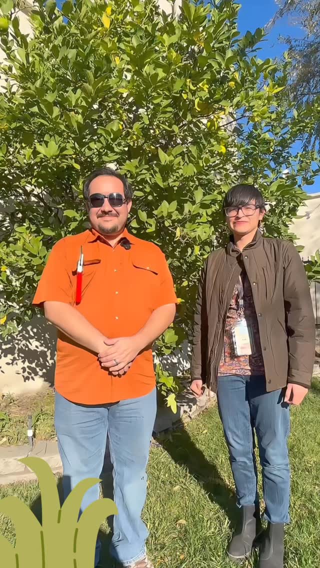 Join us for a Tree Pruning Workshop at Monrovia Community Garden! Learn about how tree pruning can support tree health, fruit production and aesthetics by helping us prune our community fruit trees!
📆 Saturday, January 17
⏰ 9:30 AM to 11:00 AM
📍Monrovia Community Garden
303 W Colorado Blvd
✨Tools and gloves provided