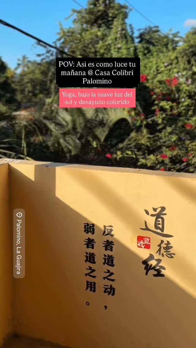 ✨Despierta con calma en Casa Colibri Palomino
🌿☀️Yoga a la mañana temprana, luz suave del sol y un desayuno lleno de color. Aquí las mañanas se viven despacio
✨Wake up peacefully at Casa Colibri Palomino
🌿☀️Early morning yoga, soft sunlight, and a colorful breakfast. Here, mornings are lived at a slow pace.
#CasaColibriPalomino #palominoguajira #freeyoga #MañanasLentas #desayunosaludable