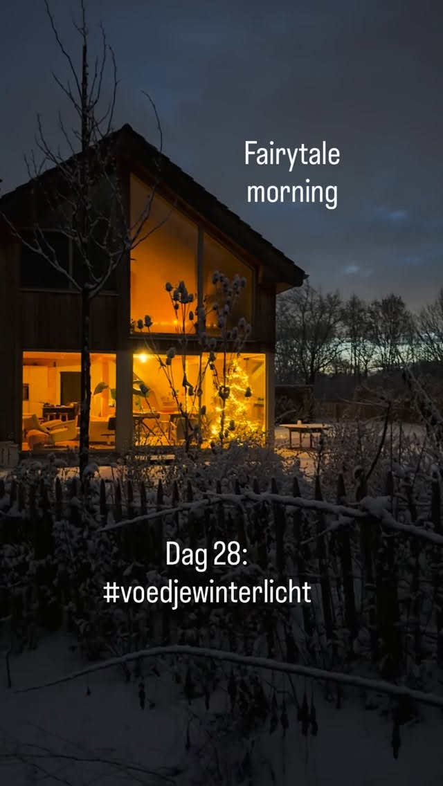 Dag 28 van de challenge om mezelf 30 dagen te voeden en dit te delen. #voedjewinterlicht
A fairytale morning. ✨
