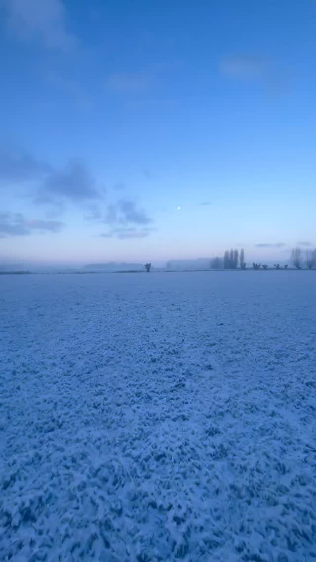 Winterwonderland 🦌🦌🦌🦌🦌