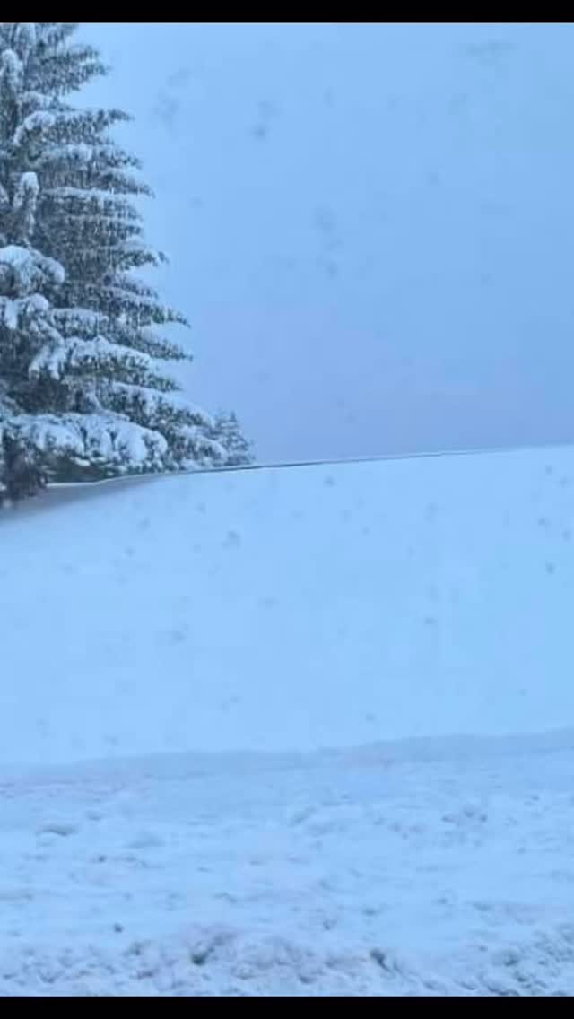 The New Year feels quiet on the surface.
But underground, the work has already begun.
Winter slows what we see, not whatâs happening below.
Soil microbes are restoring whatâs been lost
rebuilding balance, structure, and life.
đ± The New Year doesnât start above ground.
It starts underground.
#NewYearNewSoil #SoilHealth #SoilBiology #MicrobesMatter #HealthySoil