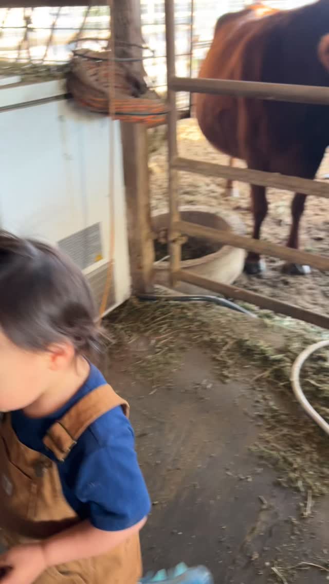 We never expected how much Remi and Donkey would bond. But here’s some clear favoritism on display