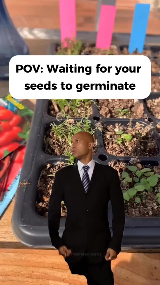 Where are all my seed starting people!!
Are you getting excited!!!
#growyourhealth #seedstarting #seedlings #excitement