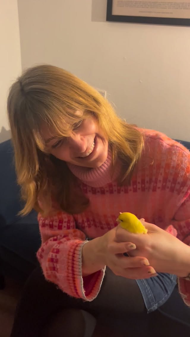 MY CANARY HAS CIRCLES UNDER HIS EYES 🐥🦜💛
Introducing my new pet Canary Little Pete! It was love at first sight and the icing on the cake….he sings all day long! Super excited to teach him some jazzy scat.
Little Pete is having so much fun that he never wants to get back in his cage!
Maybe one day I’ll bring him to a gig. ✨
Sarah x.
.
.
.
.
.
.
#sarahjonesjazz #jazzsinger #jazzvocalist #canarybird #canarysinging