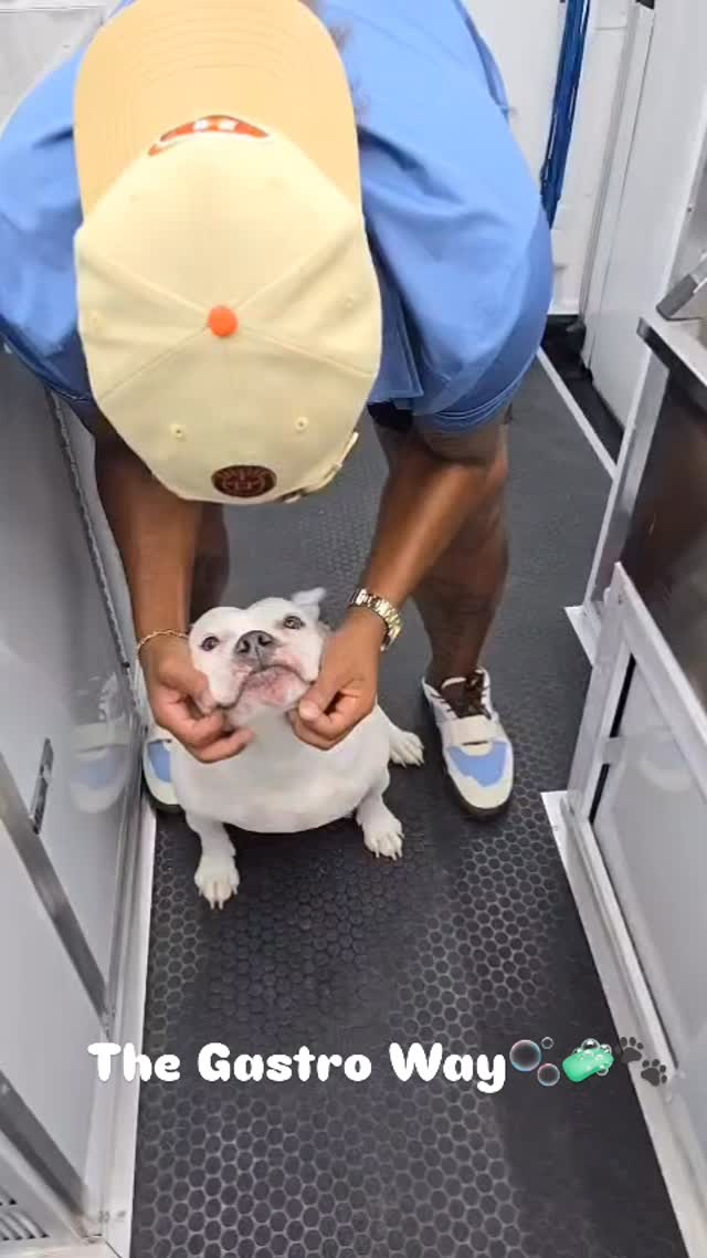 I genuinely love what it is that I do🐾 #thegastroway #houston #doglovers #gastromobiledogwash #dogsofinstagram