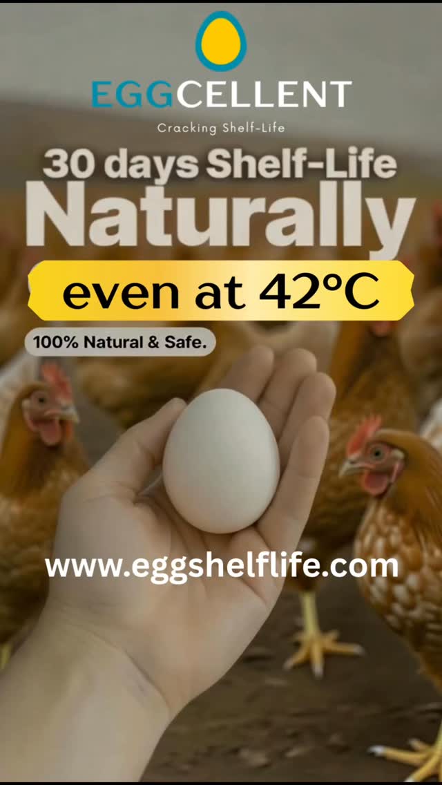 Clean, confident (B2B-friendly)
30 days of shelf life.
Even at 42°C.
Just a natural coating that works where it matters most.
Eggs that last longer, naturally.
Learn more at eggshelflife.com
#Eggcellent #EggShelfLife #FoodInnovation #PoultryTech #ColdChainAlternative FoodWasteReduction AgriInnovation SustainableFood