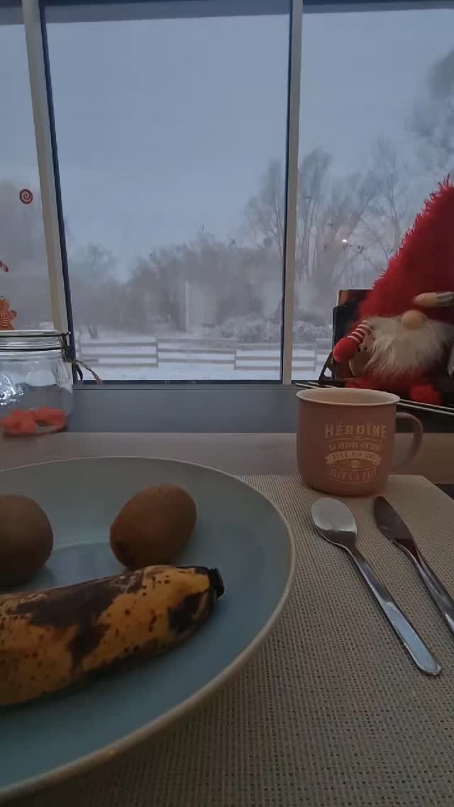 Une matinée sous la neige 🐎❄️
#bourgogne
#ain #poney #agriculture #aura
