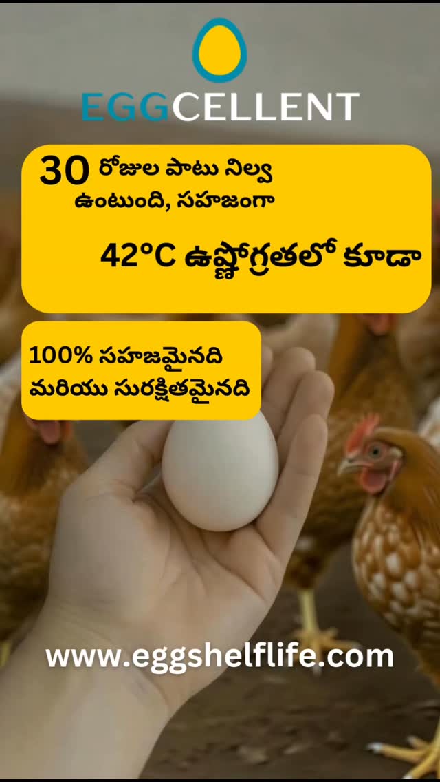 Visit www.eggshelflife.com