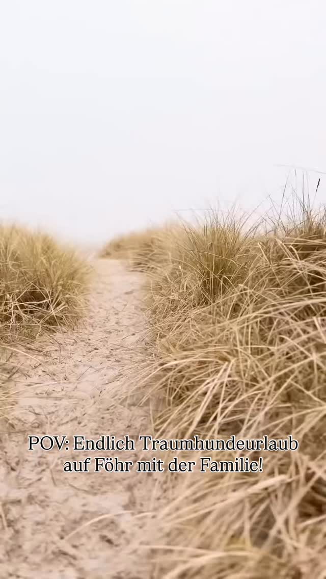So könnte dein Sommer auf Föhr aussehen! 🫶
Weite Strände, schöne Dünen, klares Meer. #foehr
Perfekt für den Familienurlaub mit Hund & co
Tipps für eine Reise nach Föhr findet ihr in unserem Blog 👋🏼
#traumhundeurlaub #hundeglück #reisenmithund #dogtravel