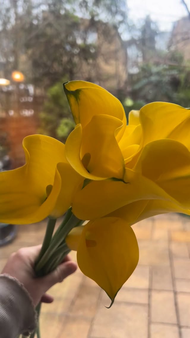 My response to ‘Her name is Lily and she loves yellow’ 💛💛
Kicking of January ‘26 with some we’ll-needed sunshine 🌞
#weddingflorist #flowers #londonflorist
