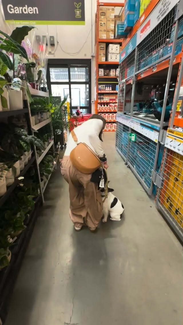 #frenchbulldog #offleash #dogtraining #nashville