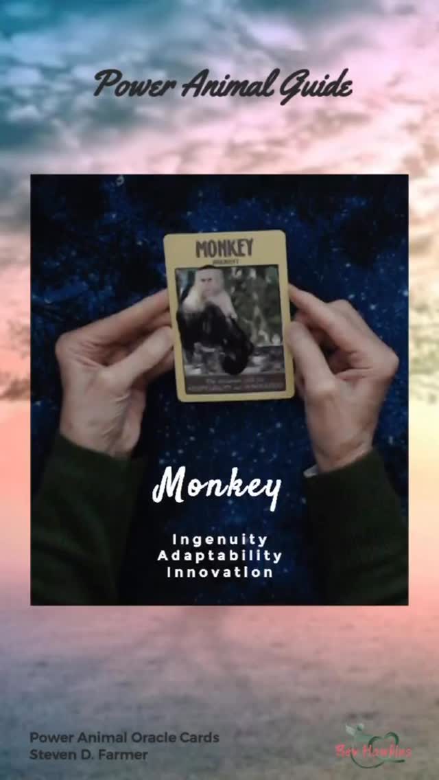 Monkey Power Animal brings ingenuity, adaptability, and innovation 🐒
When Monkey appears, it’s time to think creatively, stay flexible, and use your intelligence to move through change with ease.
Be curious. Be playful. Be resourceful. ✨
#MonkeySpirit
#PowerAnimal
#SpiritAnimal
#Adaptability
#CreativeEnergy