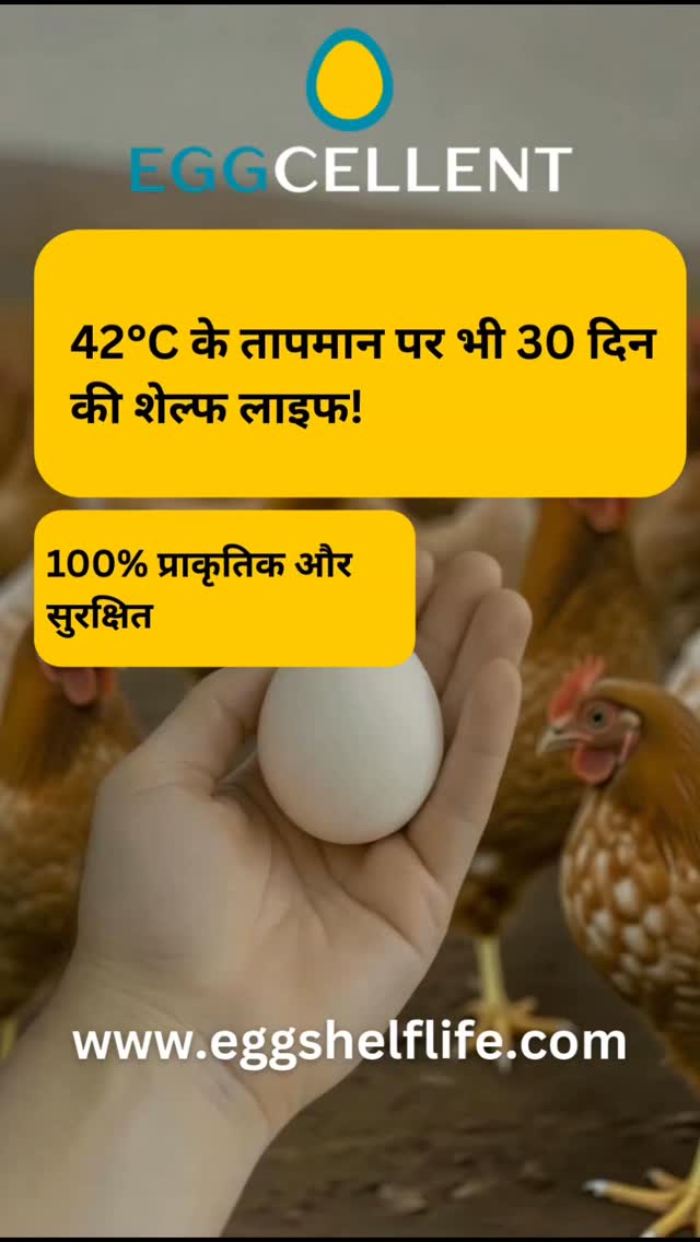 Visit www.eggshelflife.com