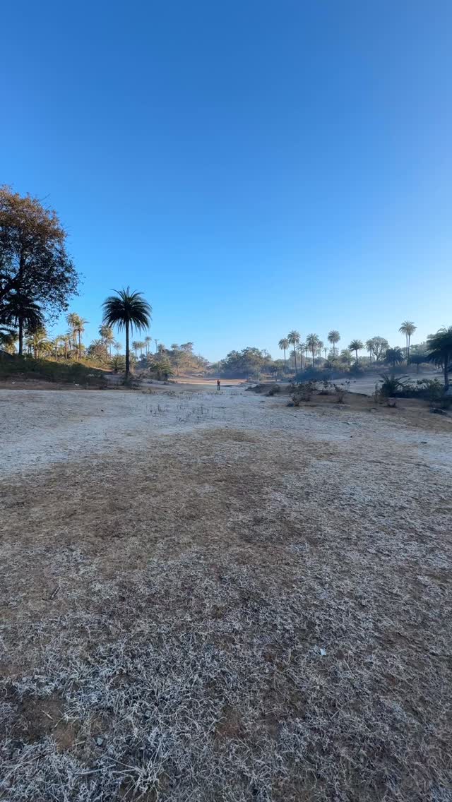 A invigorating frosty morning walk near Gyan Sarovar.