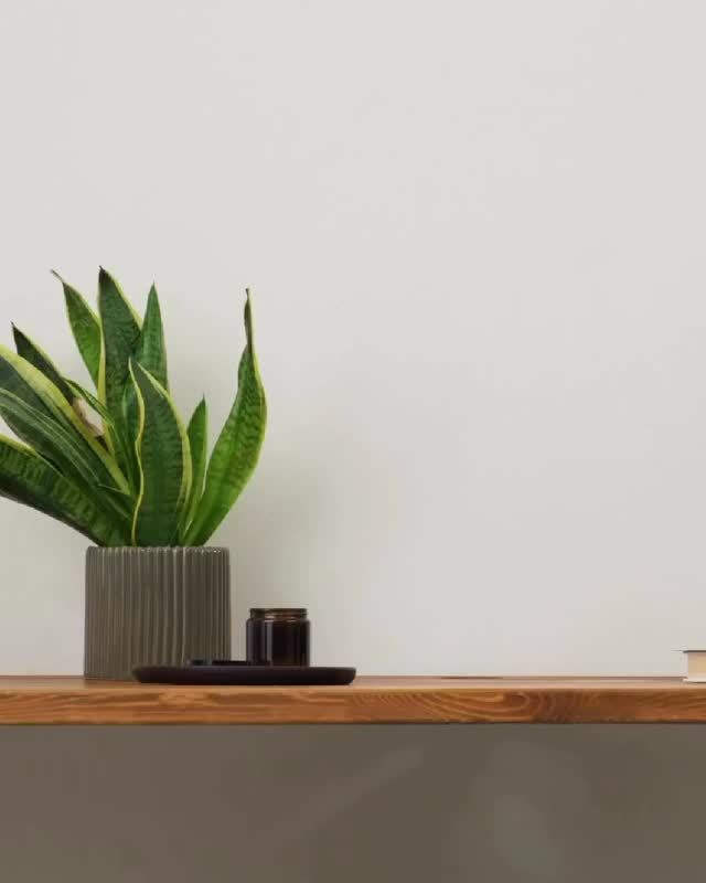 Evermore packages + plans are here ✨
Simple options. Flexible care. No surprises.
Go take a look. Your spine will thank you. We open tomorrow!! #boyntonbeach #boyntonbeachchiropractor #chiropractorboyntonbeach #chiropractorpalmbeach #palmbeachcounty