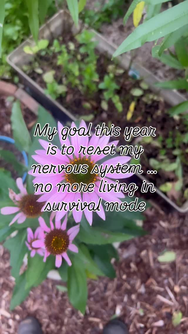 POV .., Until you switch off an overactive nervous system, no supplement, diet, or fasting will work 🥵
Here’s what’s happening: Long-term stress leaves your sympathetic nervous system stuck ON 😬😳😬
Even when the stress passes and things feel calmer, your body stays on high alert. Your baseline has increased … One little stressor and the body sets itself off again 🥺 which may lead to you feeling exhausted, wired but tired, sleep issues, sugar cravings, burnt-out, digestive issues, weight gain, hormonal imbalance, fluctuating mood & energy levels 🌿
This is My FOCUS for 2026 personally & within clinic, it’s something I have worked on with clients over the past 18 years but finally a light 💡💡💡moment …
I am totally onboard ✨🙌🏼 ✨ with the importance of a #NervousSystemReset #NervousSystemHealing as you may just find this is the ‘root cause to majority of symptoms #naturopathicmedicine #ᴇxᴘʟᴏʀᴇᴘᴀɢᴇ #TrendingReels with C A R E @naturesconnection 🌸
