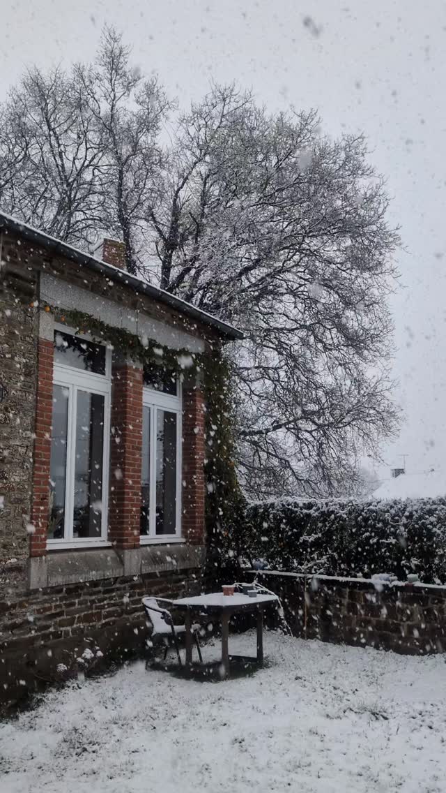 Commencer 2026 sous la neige, quel magnifique cadeau ❄️
Je vous souhaite tout le meilleur pour cette nouvelle année.. Du partage, du love, de jolis souvenirs 🤍
#ateliersouslaneige