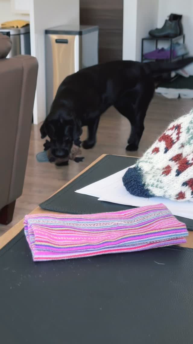 Dog love is simple, honest, real. #WagWithWilliam #FearFreeTraining #PositiveReinforcement #BondWithYourDog