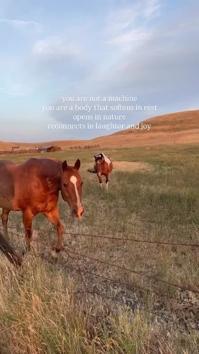 Welcome to Presence, Practiced. Day 13/∞
🪽a living series of therapist reflections in the afterglow: beyond healing → into what feels alive
💌 follow to receive notes as they arrive
#healingquotes #healingjourney #mindfulness #therapistquotes #calmvibes