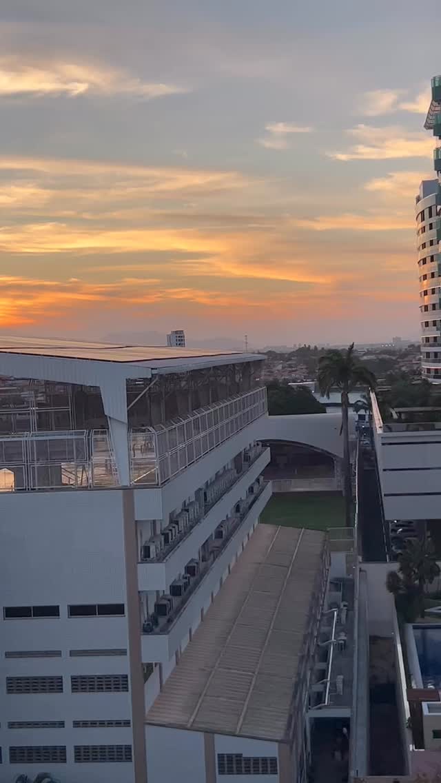Se as vicissitudes da vida, com todas as suas amarguras, correm o risco de sufocar em nós o dom da oração, é suficiente a contemplação de um céu estrelado, de um pôr do sol, de uma flor… para reacender a chama do agradecimento.
Papa João Paulo II 🌌🌅🌻