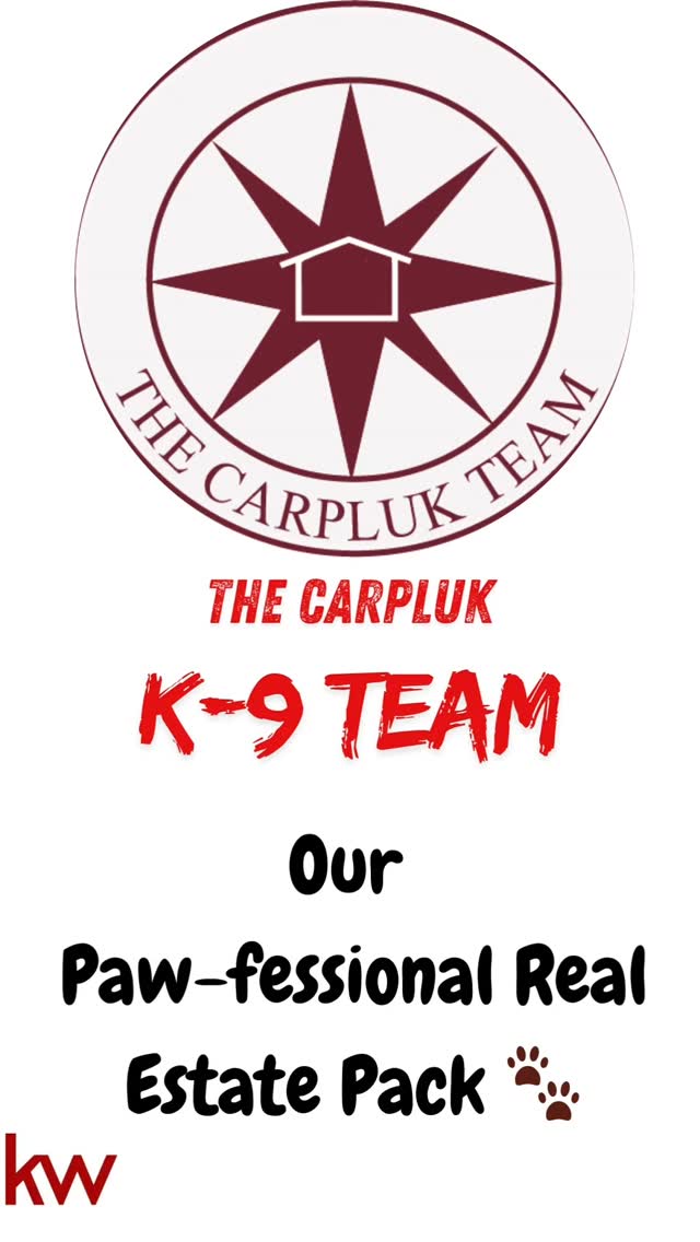 Sit. Stay. SOLD! Meet our personal fourlegged team members. Still outperforming most agents. #carplukteam #longislandrealestate #dogreelsofinstagram #mydogiscuterthanyours