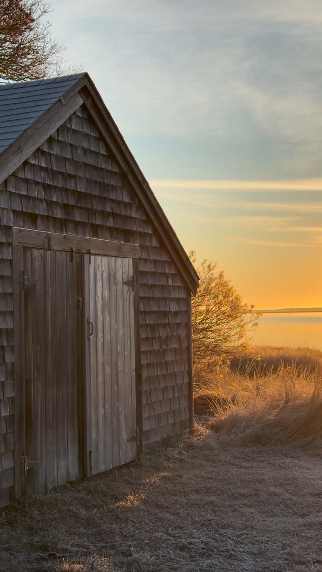 long walks + short days.