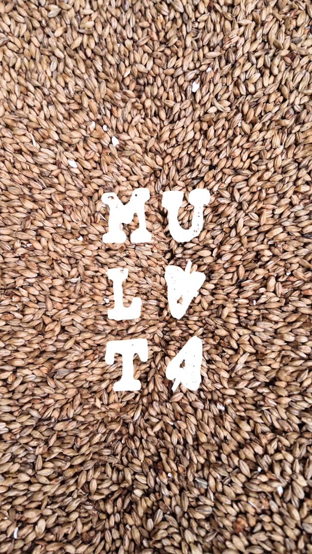 MULATA 🌶️🍺 La stout de mole poblano, el sabor de Puebla convertido en chela.
Hecha x @angelintro en colaboración con @cerveceria.cholula