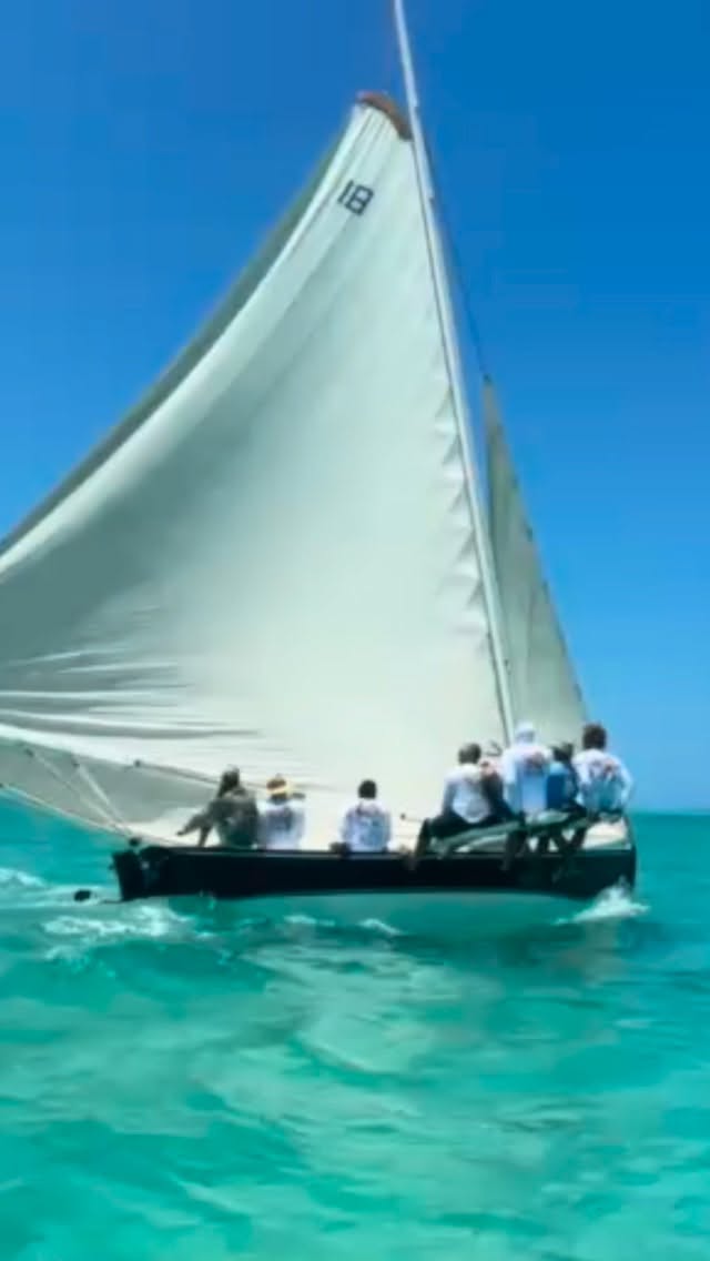 Our special Bahama land 🇧🇸🩵
Where we find our inspiration, motivation, and serenity…