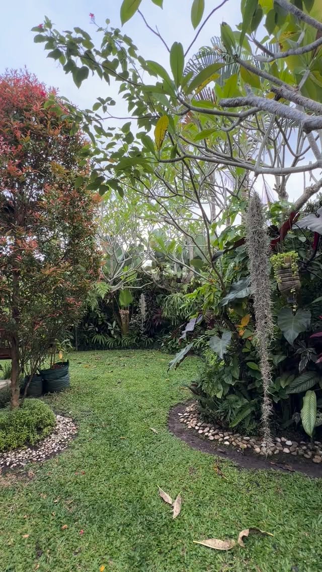 This is how I regulate.
Slow steps, breath, and ground my feet to earth, grip the grass, feel each sensation.
I offer this practice gently in my sessions, for those who need rest more than effort.
#walkingmeditation #barefootwalking #grounding #barefoot #ubud
