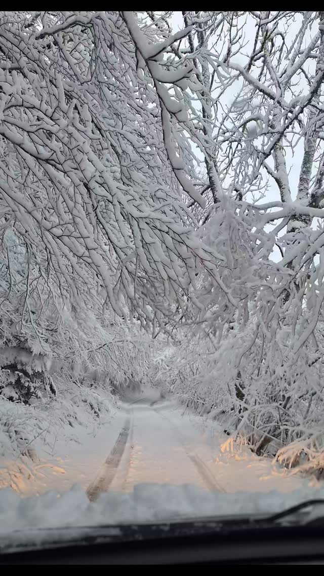 Bon week-end ❄️🤩
#neigedujour #weekendalamontagne #sancy #gitenature #photooftheday
