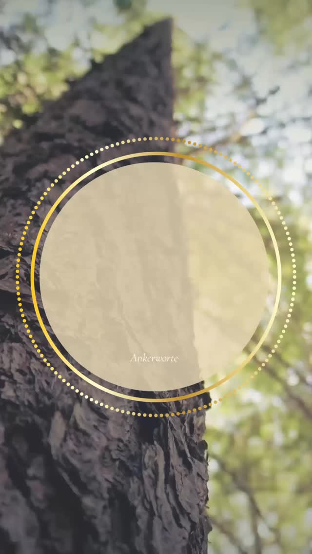 Du darfst dich aufrichten, ohne dich zu verhärten. 🌳 „Aufrichtung beginnt dort,
wo du dir selbst Halt gibst.“
Du darfst dich aufrichten, ohne dich zu verhärten. „Aufrichtung beginnt dort,
wo du dir selbst Halt gibst.“
➡️ Aufrecht sein heisst nicht,
alles im Griff zu haben. Es kann ganz leise beginnen: mit einem inneren Ja zu dir.
Mit dem Erlauben, getragen zu sein –
von dir selbst, vom Boden, vom Moment.
💫 Aufrichtung darf weich sein.
Und genau darin liegt ihre Kraft.
Spür einen Moment deine Füsse auf dem Boden
oder den Kontakt deines Körpers zur Unterlage.
Vielleicht richtet sich etwas ganz von allein auf.
Du musst nichts dafür tun.
#ankerhalt
#innererhalt
#körperarbeit
#sanftestärke
#persönlichkeitsentwicklung