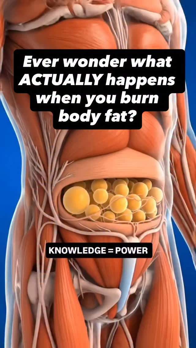 You didnāt know this until now but you gotta watch the whole video.
SAVE ā¤ļøLIKEšFOLLOWšAND SHARE