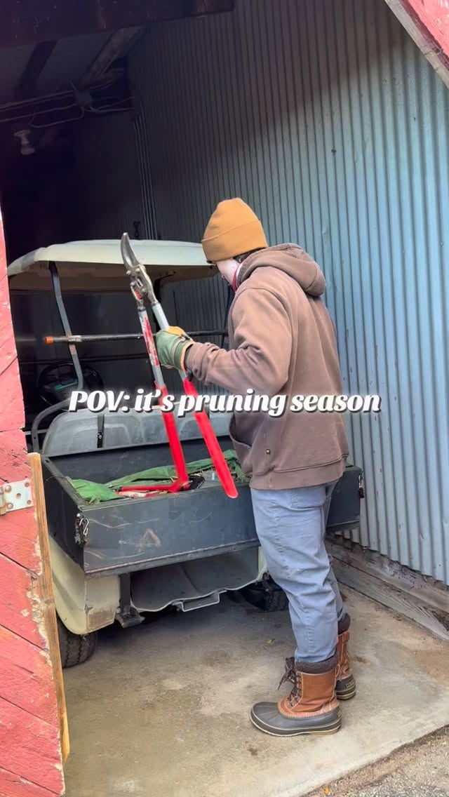 @farmer_fitz is back to winter pruning — setting the foundation for healthy trees and a strong fall harvest.
Fall prep starts now!
#orchardlife #farmlife #winterwork #behindthescenes #appleorchard