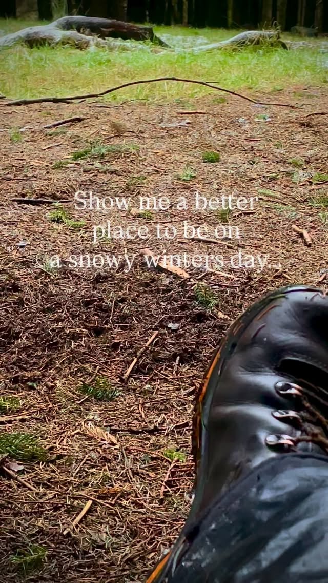 Where do you go on a beautiful winters day? All around us new stories are unfolding: the morning traffic jam, the frozen pipe, the slippery footpaths- all stories that will easily find you. But, there are other stories waiting to be found: the melting droplets of thawing snow hanging onto the waxy pine needles, the cheery Goldcrest darting from branch to branch, the singing stream calling out to all those who need its magical life giving water- these are the life affirming stories that bring joy to your heart…go find them, become a story seeker and the right stories, the magical ones will start looking for you too!