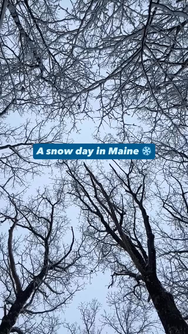 We are loving this beautiful snow!
Be careful out on the trails, there is a lot of ice hiding under the snow, but have fun! ❄️☃️
#mainelife #snowday #arundelmaine #kennebunkport
