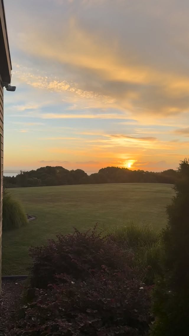 Find peace, somehow…