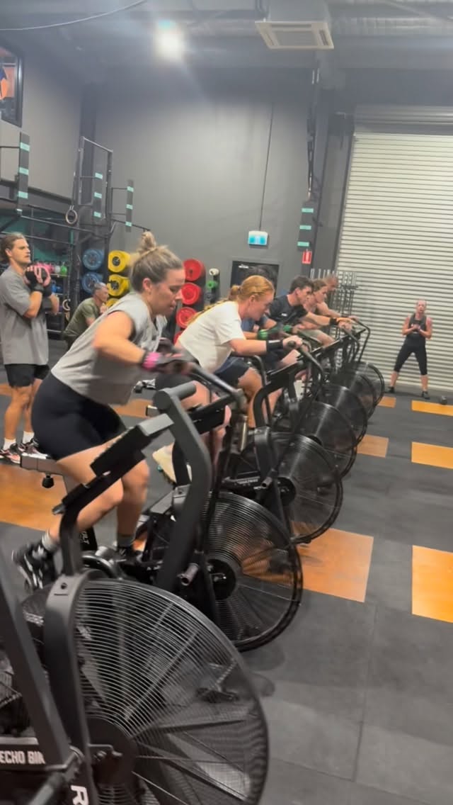 Spin Spin Spin