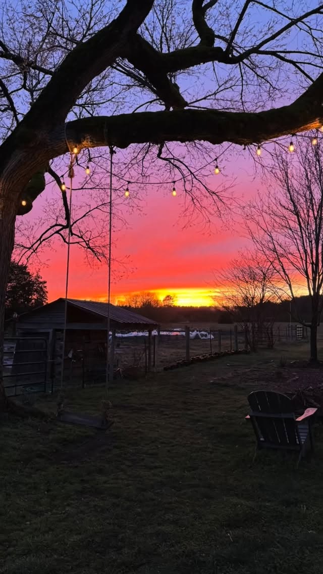 I had good intentions to make a recap of all the highlights from our 2025 season but there are just too many beautiful moments to fit into a reel. Every year I look back on the season to refresh my memory before I dive into planning the next one. I’m always encouraged and full of gratitude afterwards! 2025 was by far our most challenging season. Weather, pest pressure, disease and burn out seemed to hit one after another (and sometimes all at once). Despite it all we also had one of our greatest seasons. We managed to still share more flowers than ever before, expand our teaching workshops, host new events on the farm and attend more off-farm events.
I’m optimistic about 2026 and excited about what’s in store for the farm. I hope you’re looking forward to learning, growing and loving too! See yall in the spring.
#indigoirisfarm #lakewyliesc #cloversc #yorkcountysc #lakewyliemoms