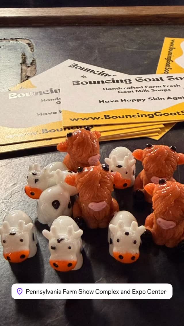 More cows have arrived courtesy of the Pa Ag Department. There are 14 cows now scattered around the booth. Come see how many you can find. #pafarmshow #pennsylvaniaagriculture #cows