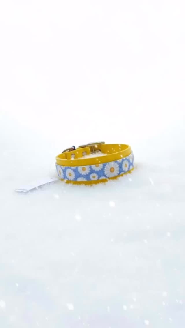 ❄️ Vent glacial et chute de neige sur l’atelier Ek.o ! Cela n’empêche pas les commandes des jolis colliers aux couleurs de printemps ! 🌸
Rendez vous sur www.lateliereko.fr 3 achetés le moins cher des 3 offert dans la rubrique les bonnes affaires et livraison mondial relay offerte à partir de 60€
#lateliereko #doglovers #artisanat #soldes #madeinfrance