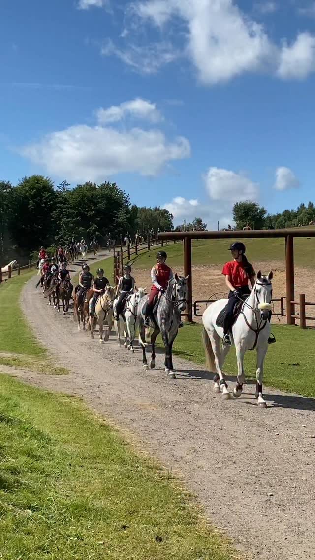 Det bedste syn! Vi GLÆDER os til sommerens ridelejr her på Østerlund! Skal du med? Der er endnu plads i uge 28 og 29 med egen pony/hest, alt udsolgt i uge 27🩷 #østerlundridelejr #danmarkssjovesteridelejr