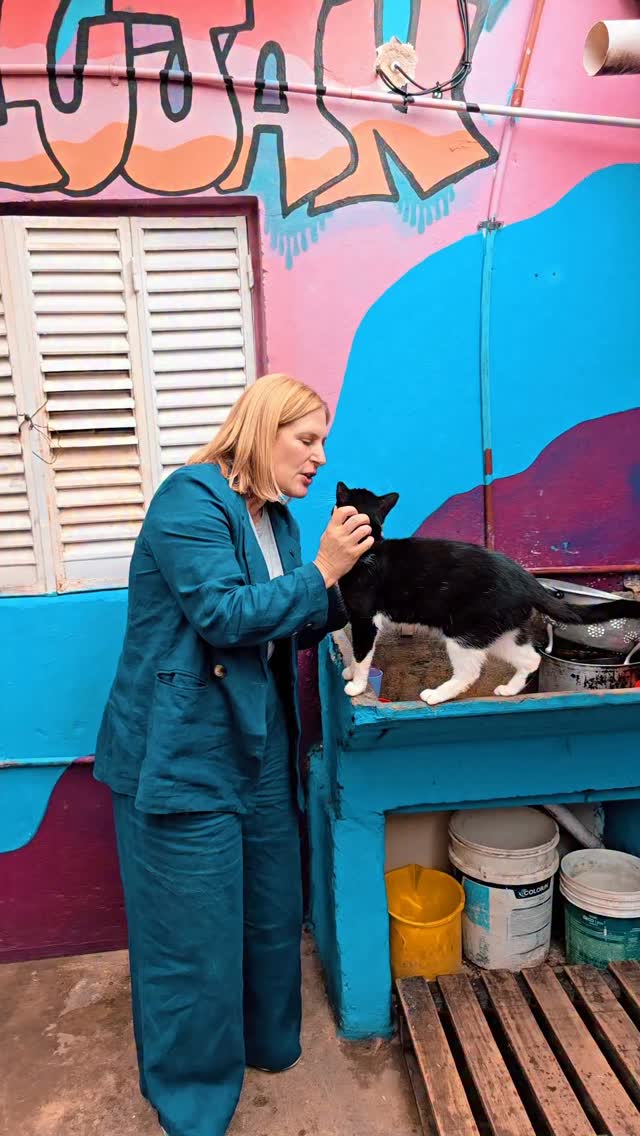 ¿Quién más malcría a sus mascotas como lo hacen con esta gatita consentida de la @lacasitadelujan.sf 😘😘???