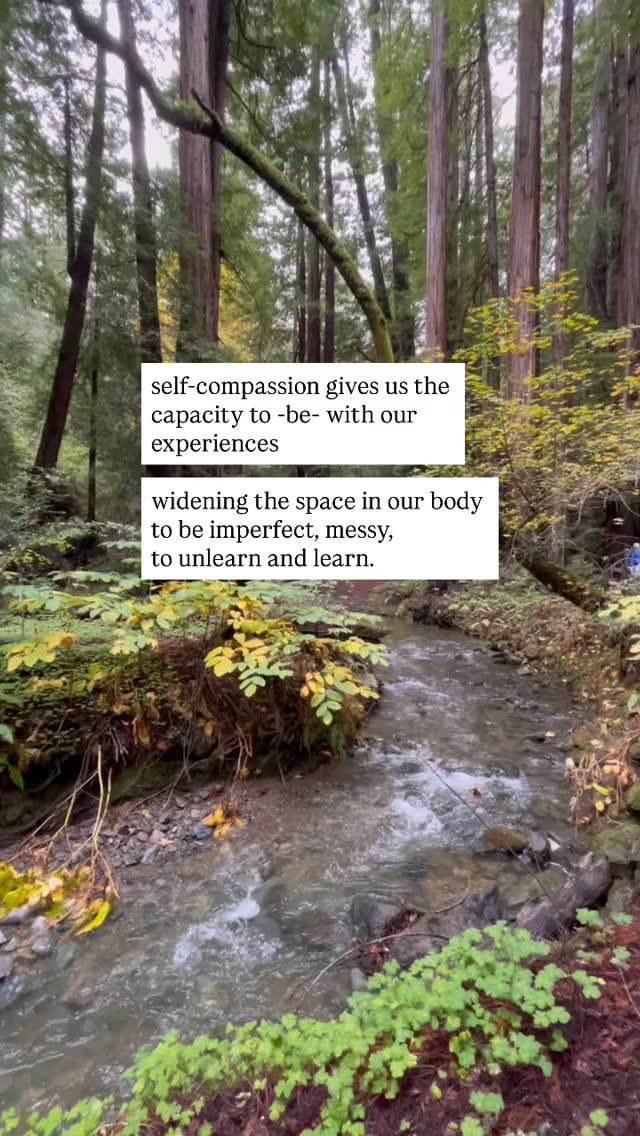 Welcome to Presence, Practiced. Day 9/∞
🪽a living series of therapist reflections in the afterglow: beyond healing → into what feels alive
💌 follow to receive notes as they arrive
#therapy #mentalhealth #nervoussystemhealing #selfcompassion #selflove❤️
