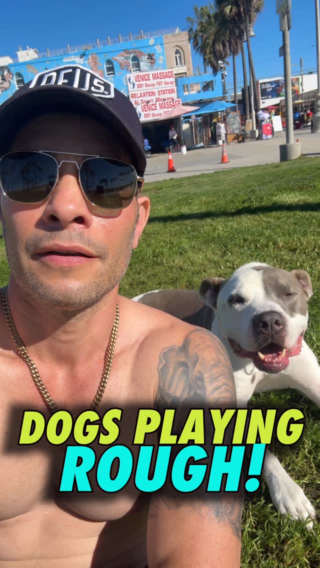 For training in LA & NY hit us up
#dogs #dogtraining #dogmom #dogdad