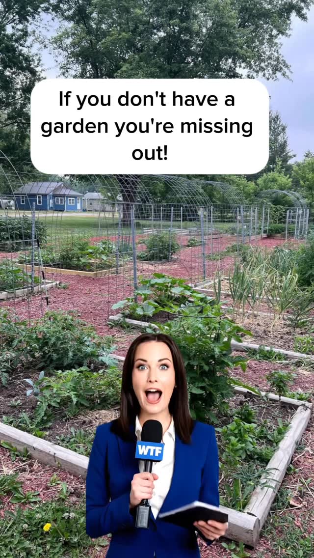 If your not gardening your missing out! If you need help getting started stick around!
#greensproutliving #garden #gardens #gardening #growyourownfood