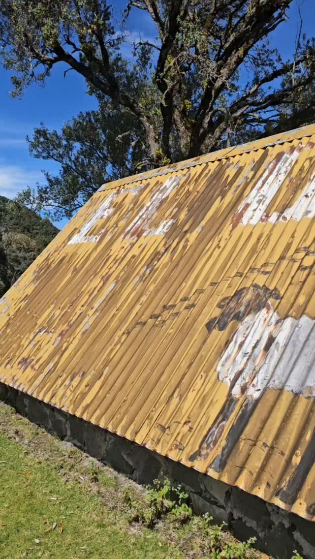 Regálale a tu familia un día maravilloso en contacto con la naturaleza.
Disfruten juntos del tour más querido por grandes y chicos, rodeados de aire puro, paisajes que abrazan el alma y la ternura de nuestros animalitos de buena vibra.
Las ovejas, con su calma y encanto, hacen de cada visita una experiencia especial, llena de sonrisas, conexión y recuerdos que se quedan en el corazón.
La naturaleza los espera para compartir momentos simples, auténticos y felices en familia.
Reservas previas y detalles al 6920-0420 gracias 📌