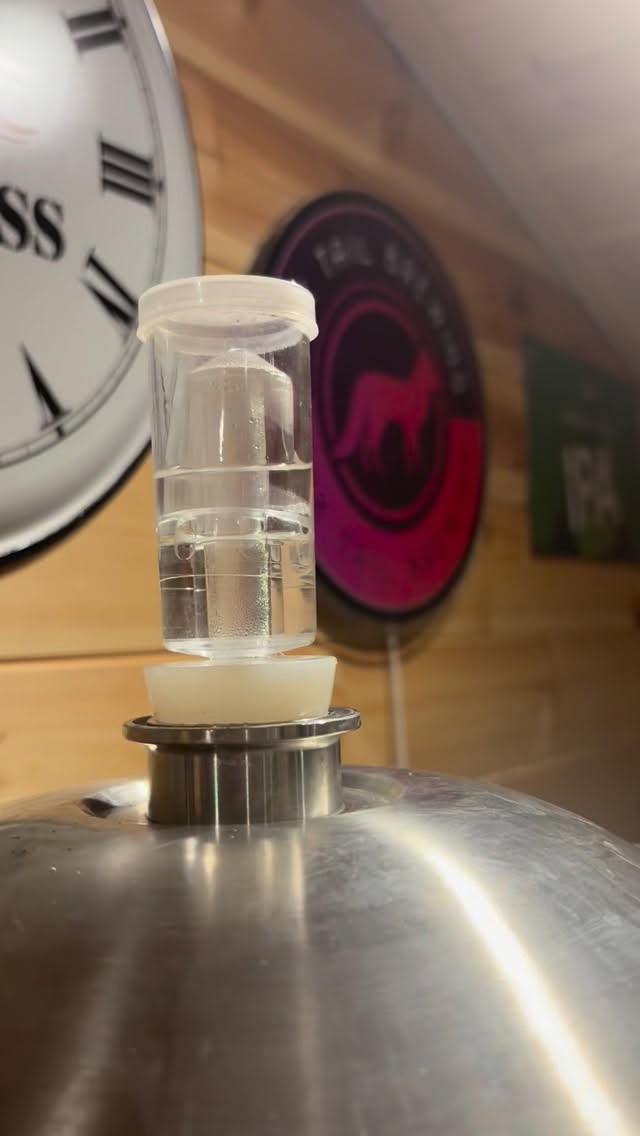 Very happy yeast chums in the Agent 243 brew
#beerstagram #homebrewing #craftbeer #beertime #foryou